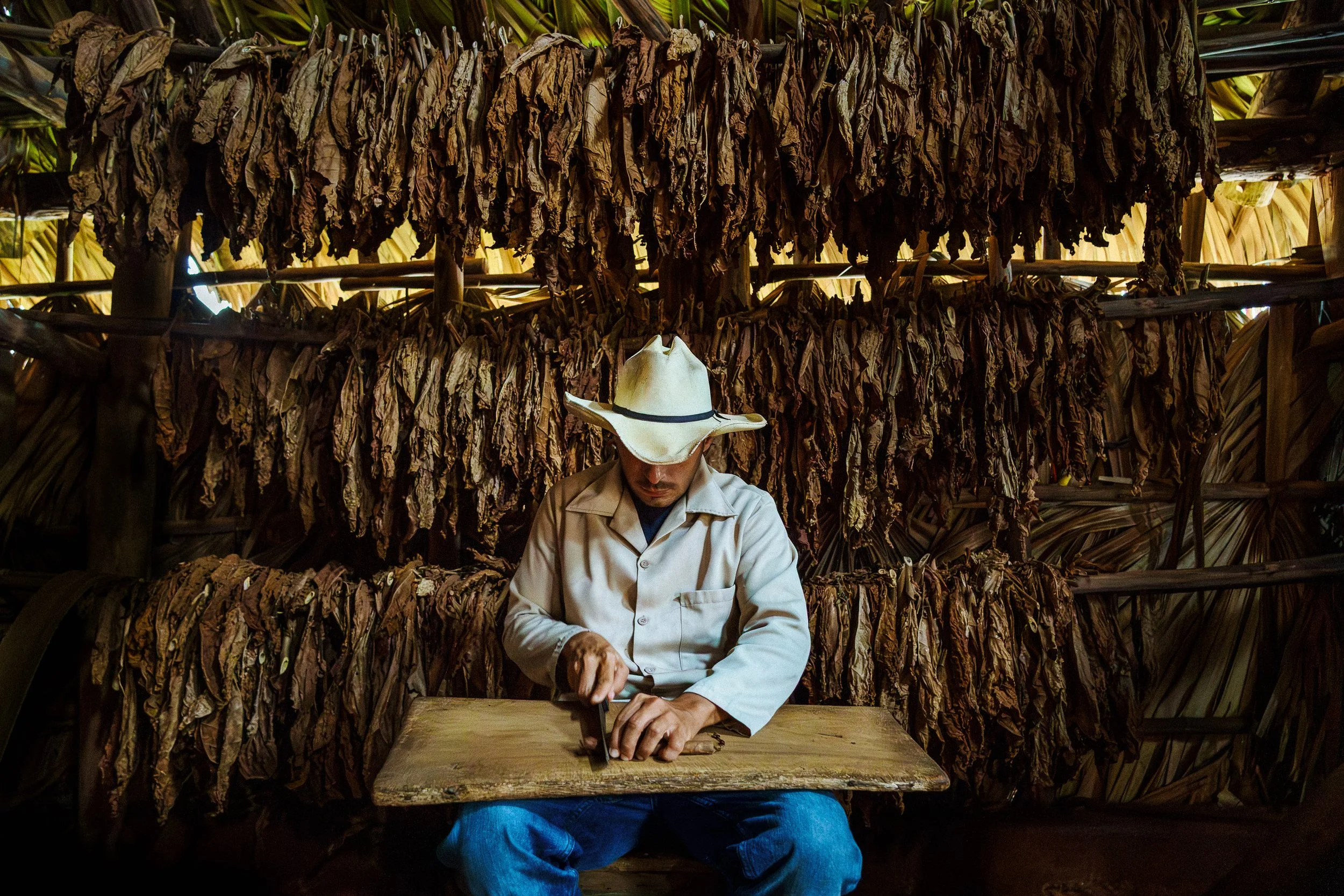Tobacco Farmers of Viñales